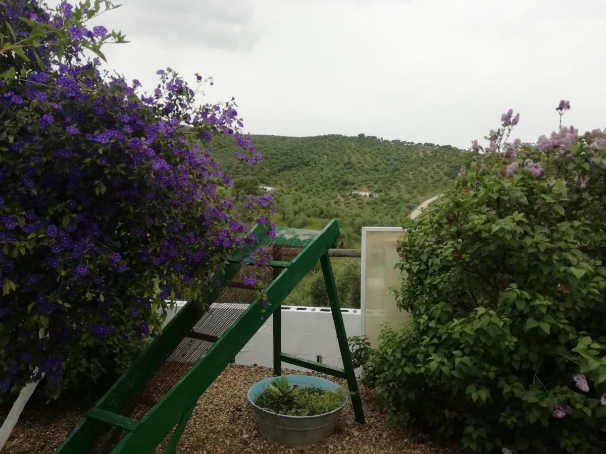 Alojamiento Rural La Perdiz Ла-Пуэбла-де-лос-Инфантес Экстерьер фото